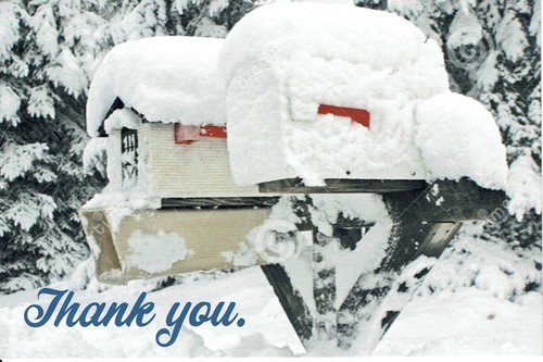 Christmas thank you - thank, 4x6